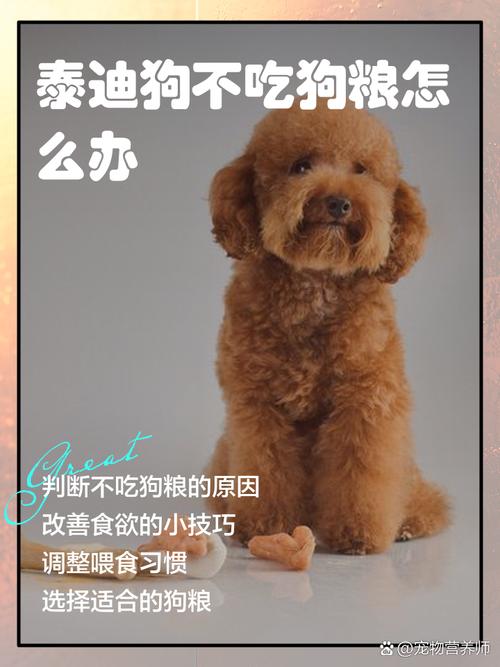 狗狗吃饭太快怎么办，狗狗吃饭特别慢怎么办