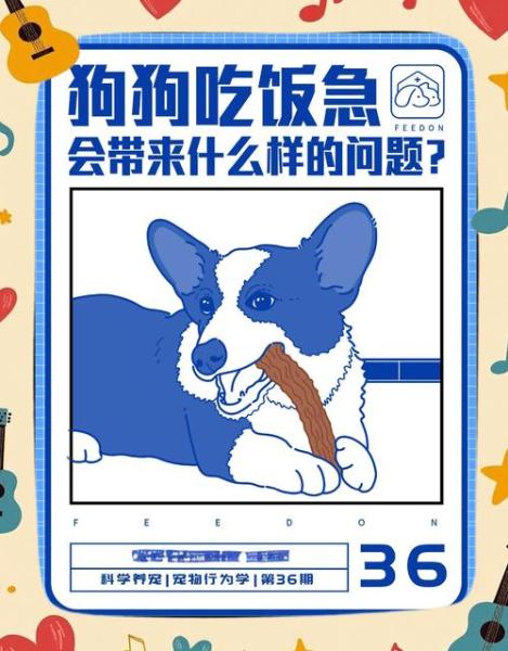 狗狗吃饭太快怎么办,狗狗吃饭特别慢怎么办-第2张图片 狗狗吃饭太快怎么办,狗狗吃饭特别慢怎么办-第2张图片