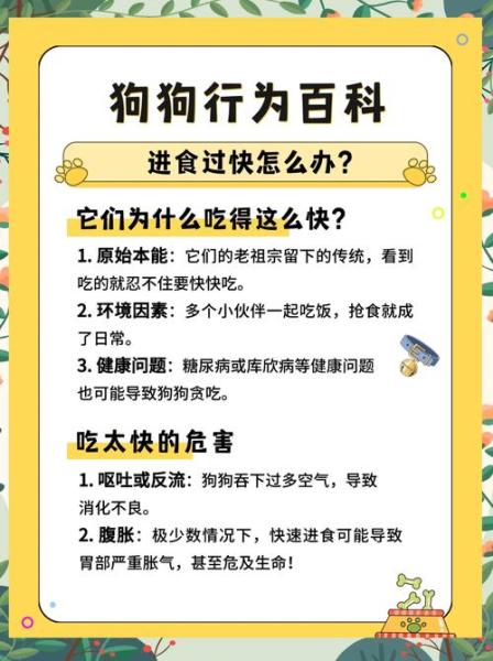 狗狗吃饭太快怎么办,狗狗吃饭特别慢怎么办-第3张图片 狗狗吃饭太快怎么办,狗狗吃饭特别慢怎么办-第3张图片