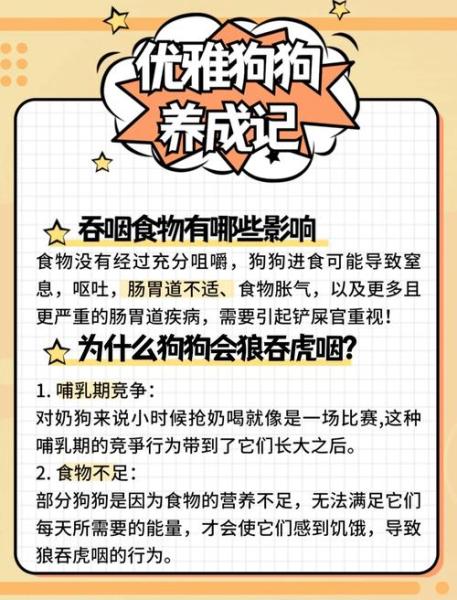 狗狗吃饭太快怎么办,狗狗吃饭特别慢怎么办-第6张图片 狗狗吃饭太快怎么办,狗狗吃饭特别慢怎么办-第6张图片