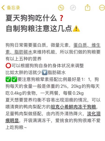 狗狗吃饭太快怎么办,狗狗吃饭特别慢怎么办-第8张图片 狗狗吃饭太快怎么办,狗狗吃饭特别慢怎么办-第8张图片