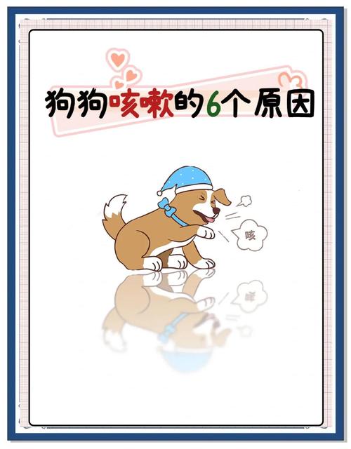 作为消费者“狗狗流鼻涕咳嗽怎么办”你不能不知道-第5张图片 作为消费者“狗狗流鼻涕咳嗽怎么办”你不能不知道-第5张图片