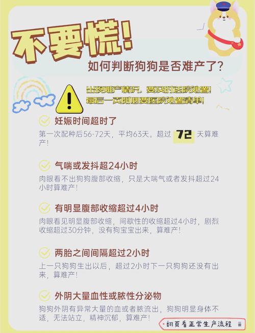 狗狗多久生宝宝/狗狗临产前3天表现