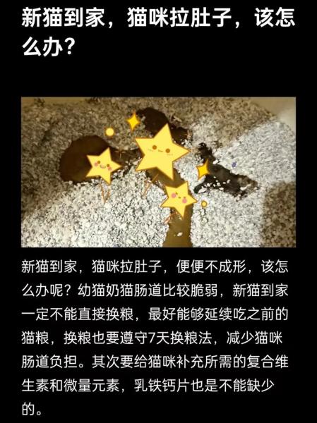 猫咪到新家一直叫-猫咪到新家一直叫怎么办-第2张图片 猫咪到新家一直叫-猫咪到新家一直叫怎么办-第2张图片