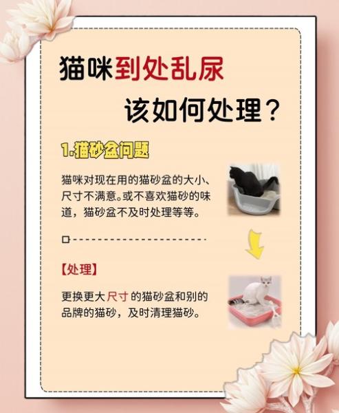 猫咪为什么突然乱撒尿-猫咪为何突然乱尿-第3张图片 猫咪为什么突然乱撒尿-猫咪为何突然乱尿-第3张图片