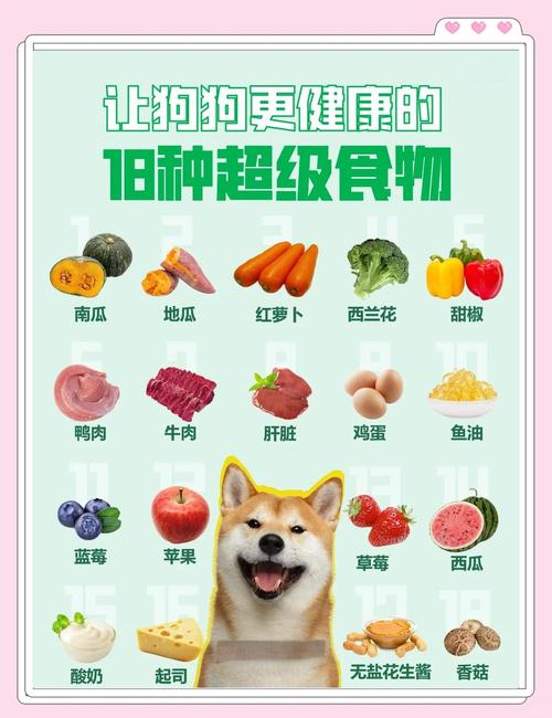 狗狗吃什么食物，狗狗吃什么食物比较好最健康