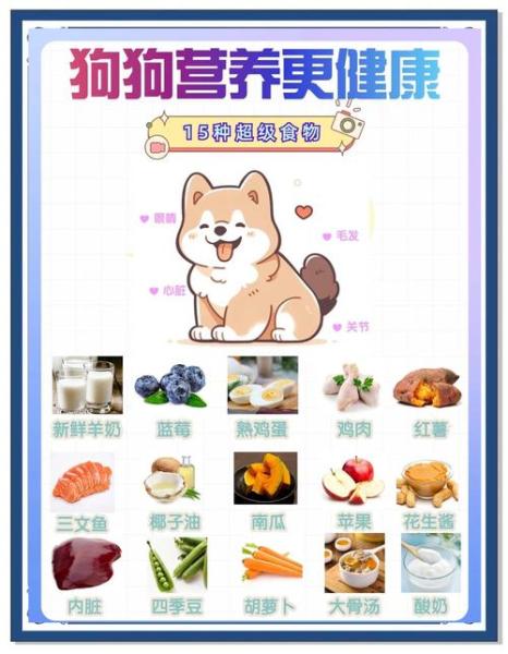 狗狗吃什么食物,狗狗吃什么食物比较好最健康-第3张图片 狗狗吃什么食物,狗狗吃什么食物比较好最健康-第3张图片