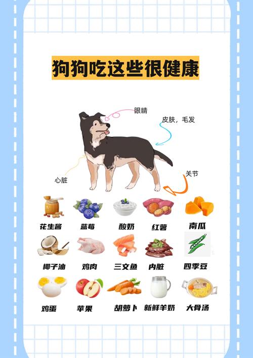 狗狗吃什么食物,狗狗吃什么食物比较好最健康-第7张图片 狗狗吃什么食物,狗狗吃什么食物比较好最健康-第7张图片