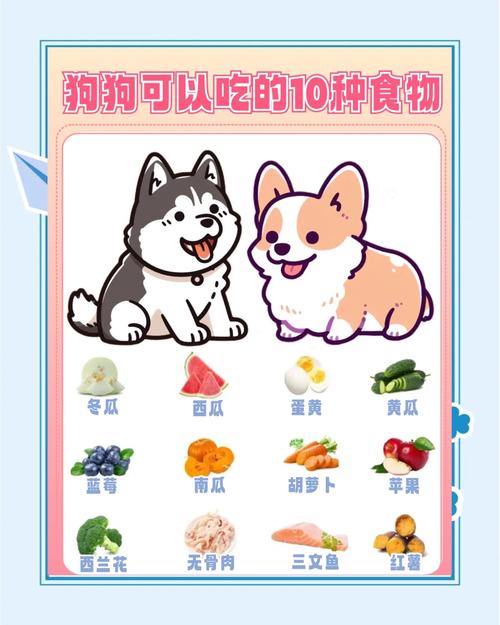 狗狗吃什么食物,狗狗吃什么食物比较好最健康-第8张图片 狗狗吃什么食物,狗狗吃什么食物比较好最健康-第8张图片
