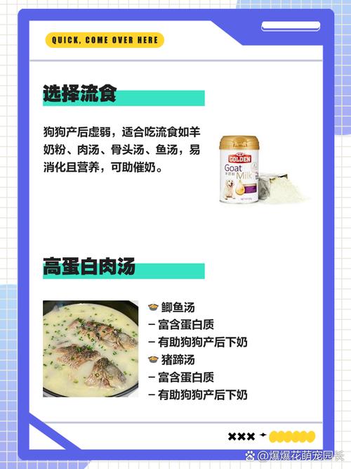 狗狗吃什么食物,狗狗吃什么食物比较好最健康-第10张图片 狗狗吃什么食物,狗狗吃什么食物比较好最健康-第10张图片